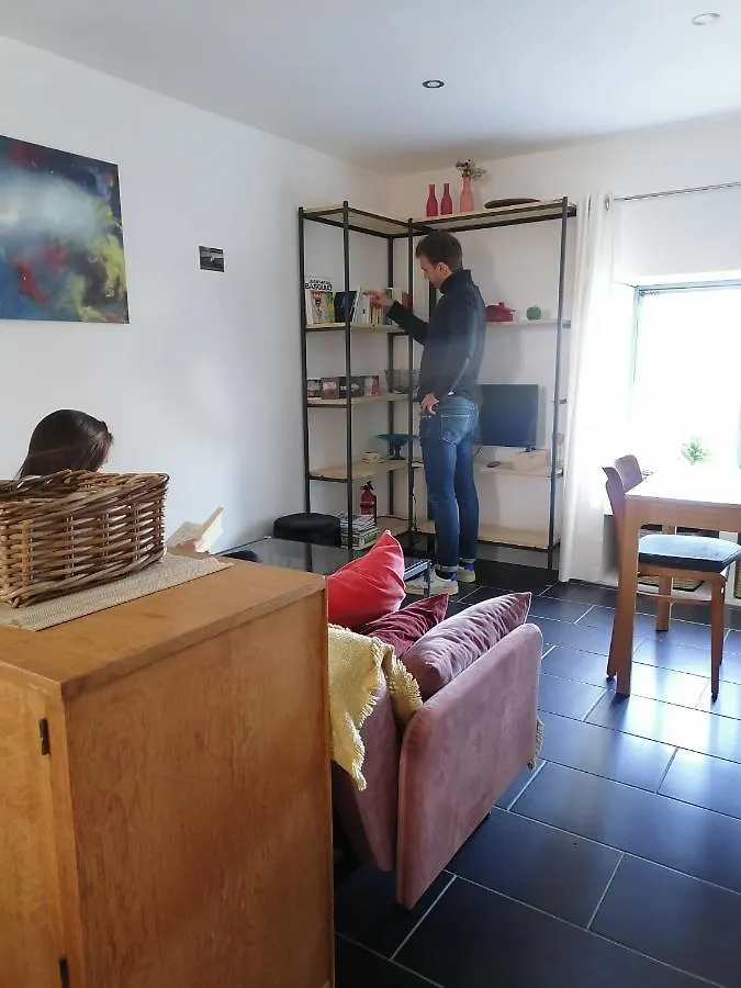 Gite La Maison La Saint-Aubin-d'Aubigne France